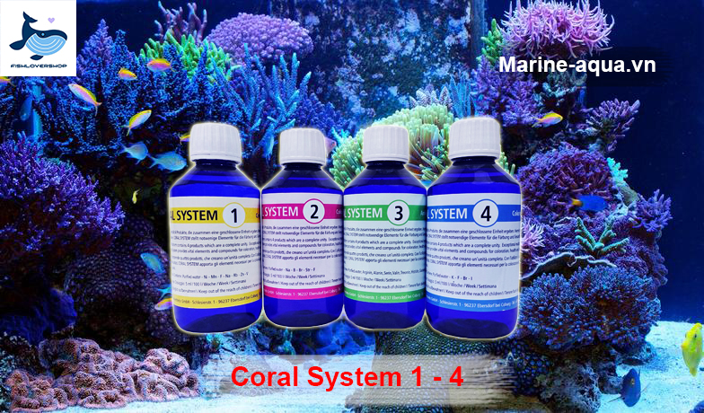 CORAL SYSTEM