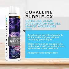 Coralline Purple CX kích thích sự phát triển tảo tím 250ml-Continuum Aquatics