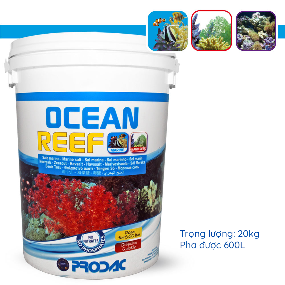 Muối cho hồ cá biển Ocean Reef - Prodac 20kg