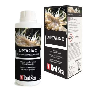 Aiptasia – X thuốc diệt quỳ chân ngỗng cho hồ cá cảnh biển | Red Sea