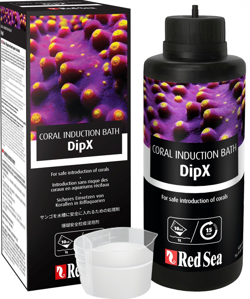 Dung dịch làm sạch san hô DipX 500ml - Red Sea