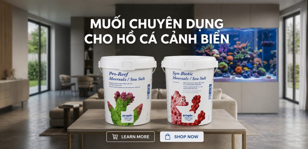 Hình ảnh này chưa có thuộc tính alt; tên tệp của nó là banner1-1-1024x498.jpg